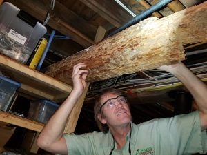 An inspector in safety glasses