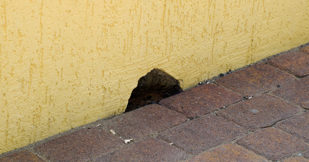 A possible entryway for rodents