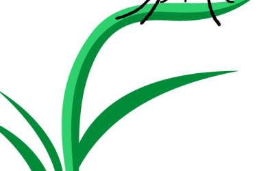 Help Wanted- Lawn Care Technician
