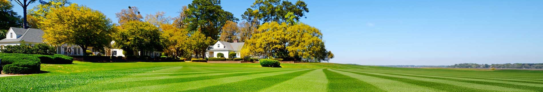 Lawn Care Programs