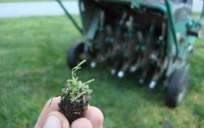 Fall Aeration & Seeding Services