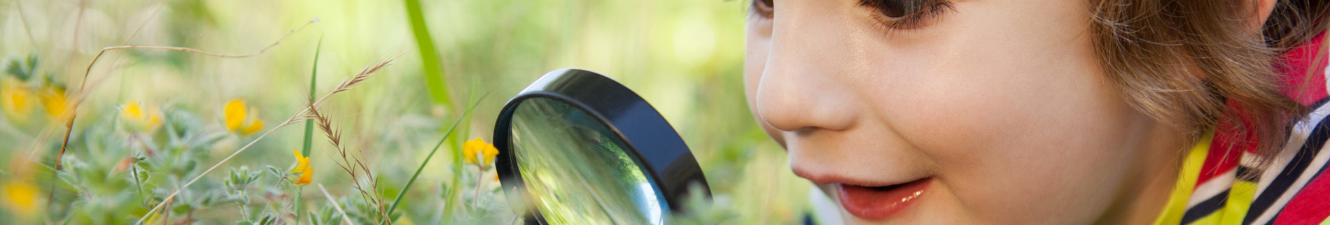 pest identification - young boy with a magnifying glass