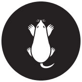 mole mole elimination services from Ford's Hometown Services