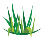 Expert-Icon 100% Organic Lawn Care Program
