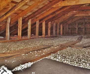 Three Steps to Getting Rid of Bats in Your Attic For Good