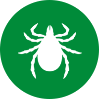 tick-only