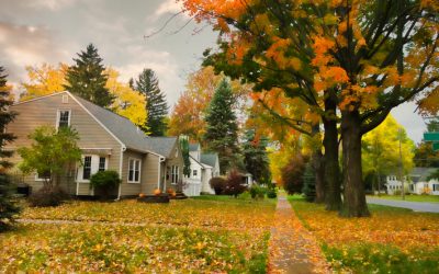 3 Reasons You Should Have a Preventative Pest Plan This Fall