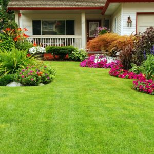 Lawn care and fertilizer in Sterling, Massachusetts