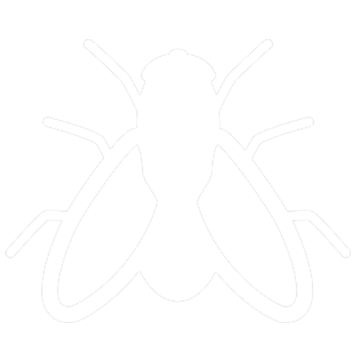 Fly icon tick only icon