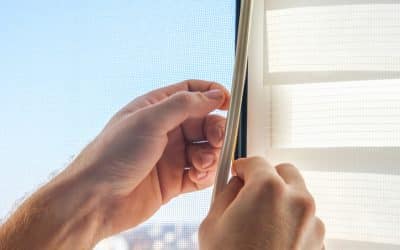 Winter Proof Your Home: Top Tips to Keep Pests Out During the Cold Months