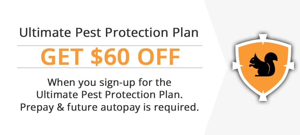 4-Step Tick Control Program 50% OFF 1ST APPLICATION with the purchase of a full 4-visit "Tick Control" program.
