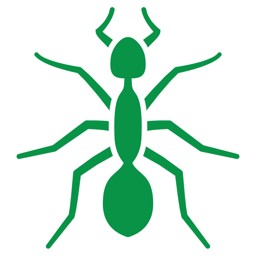 Ants