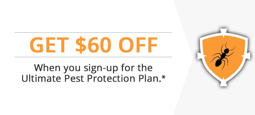 8-Step Tick & Mosquito Combo Program ONE FREE APPLICATION on Step 1 with the purchase of full Combo Program.
