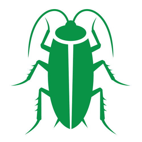Cockroaches