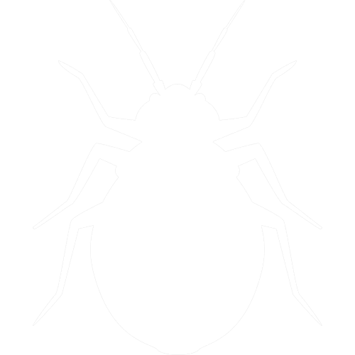 sunicon