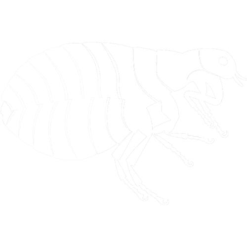 Grubs