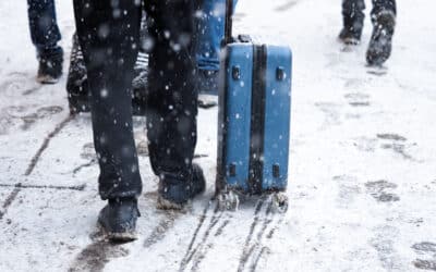 Planning a Winter Getaway? How to Avoid Bringing Bed Bugs Home