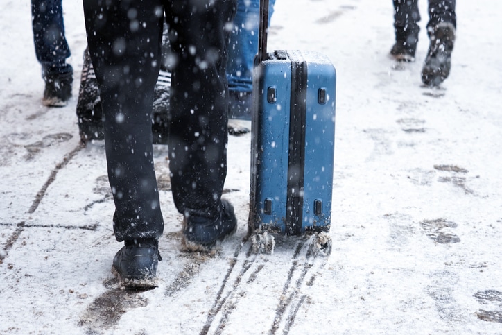 Planning a Winter Getaway? How to Avoid Bringing Bed Bugs Home